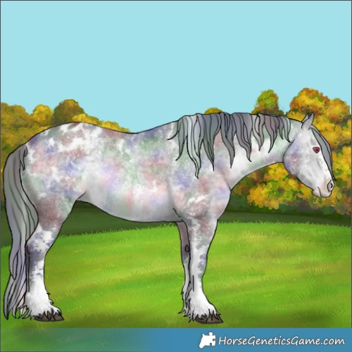 Horse Color:Nacre White Spotted Brown Chinchilla Sabino Appaloosa
