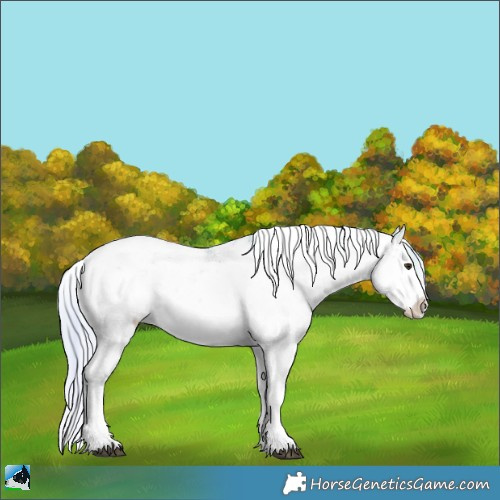 Horse Color:Watercolor Plaid Silver Brown Dun Sabino Rabicano