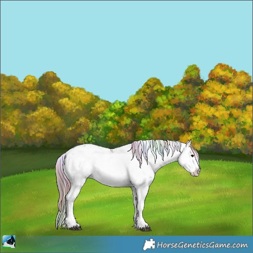 Horse Color:Nacre Plaid Chocolate Brown Ice Dun Sabino Rabicano