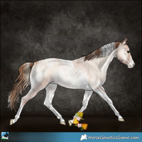 Horse Color:Blue Onyx Roan Pearl Tobiano 
