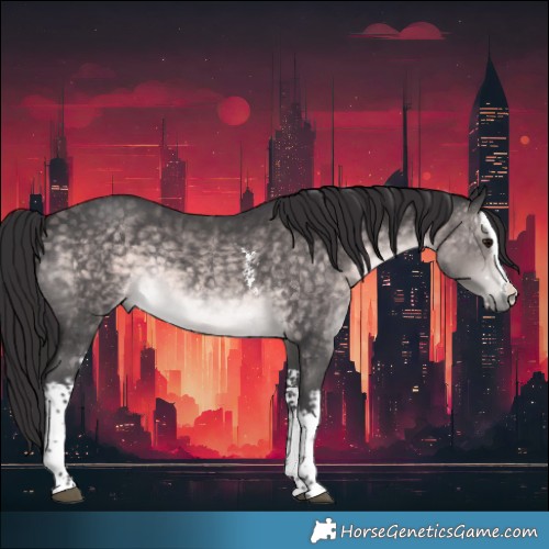 Horse Color:Platinum White Spotted Buckskin Sabino Rabicano