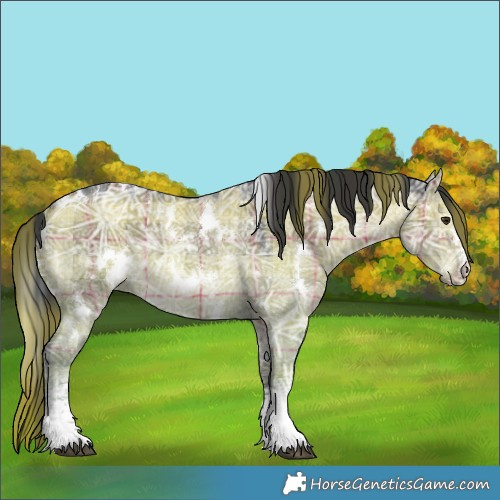 Horse Color:Plaid White Spotted Grullo Chinchilla Ice Sabino Rabicano