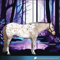 Horse Color:Bay Ice Dun Tobiano Appaloosa 