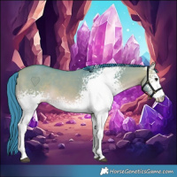 Horse Color:Watercolor White Spotted Bay Dun 