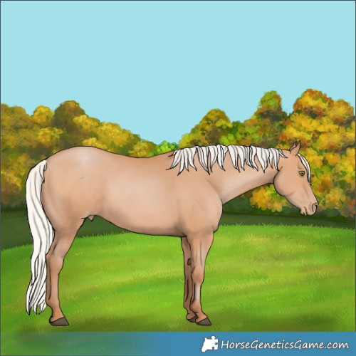 Horse Color:Silver Bay Pearl 