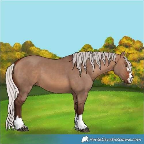 Horse Color:Silver Bay Dun 