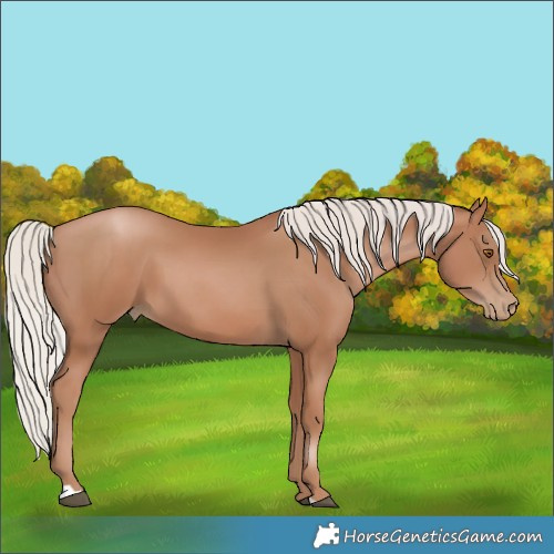 Horse Color:Silver Black Pearl 