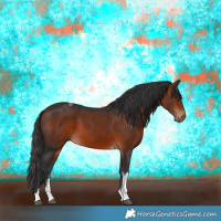 Horse Color:Bay Sabino Tobiano Rabicano 