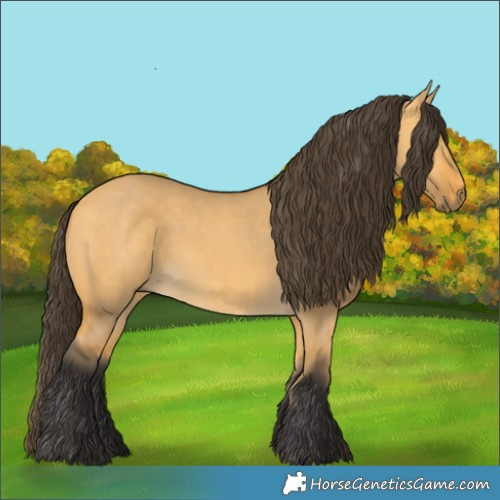 Horse Color:Buckskin Dun 