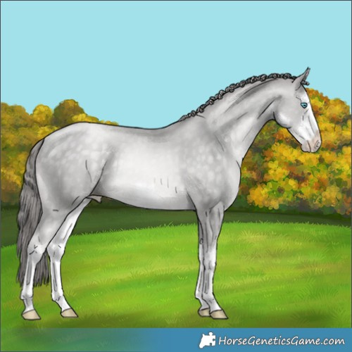Horse Color:Platinum White Spotted Buckskin Pearl 