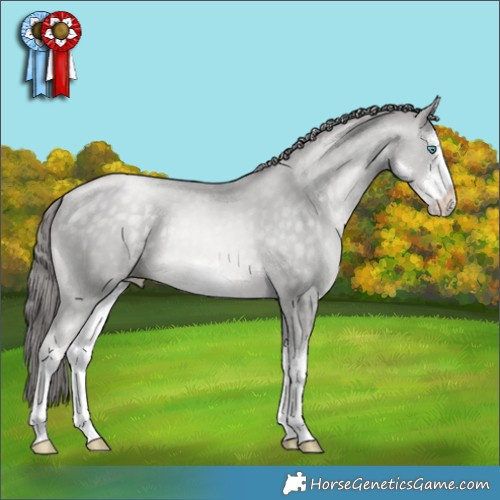 Horse Color:Platinum White Spotted Buckskin Pearl 