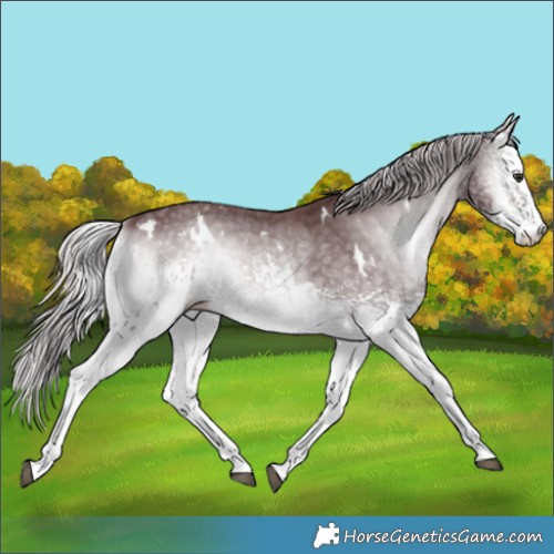 Horse Color:White Spotted Chocolate Silver Blue Onyx Chinchilla 