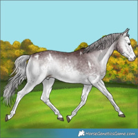 Horse Color:White Spotted Chocolate Silver Blue Onyx Chinchilla