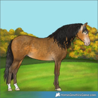 Horse Color:Gray Sable Cream Champagne 