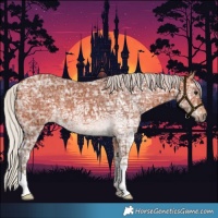 Horse Color:Silver Bay Ice 