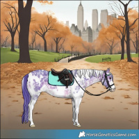 Horse Color:Watercolor White Spotted Bay Ice Sabino