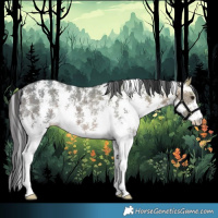 Horse Color:Brown Ice Sabino Rabicano 