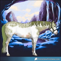 Horse Color:Watercolor White Spotted Chestnut Ice Frame