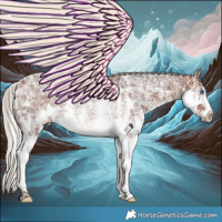 Horse Color:Silver Brown Ice Sabino Splash Rabicano