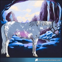 Horse Color:Watercolor White Spotted Chestnut Tobiano 