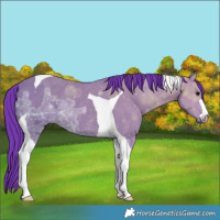 Horse Color:Watercolor Grullo Ice Tobiano Rabicano 