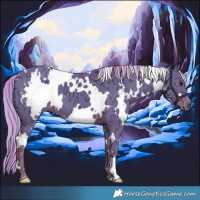 Horse Color:Watercolor White Spotted Liver Chestnut Ice 