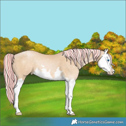Horse Color:Painted Palomino Pearl Splash 