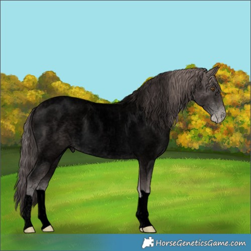 Horse Color:Void Platinum Brown Roan Pearl Rabicano 