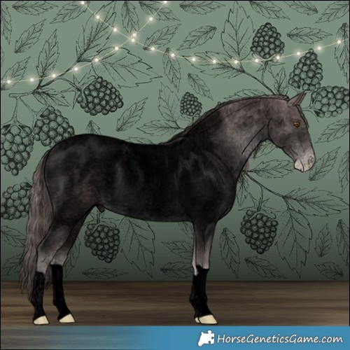 Horse Color:Void Platinum Brown Roan Pearl Rabicano 