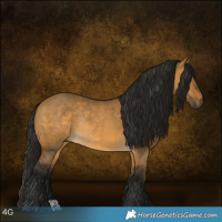 Horse Color:Gray Buckskin Dun Rabicano 