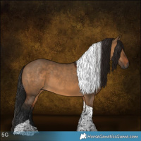 Horse Color:Gray Bay Dun Tobiano 