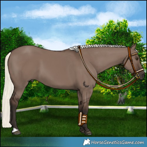 Horse Color:Liver Red Dun Mushroom 