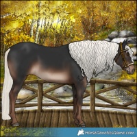 Horse Color:Liver Chestnut Mushroom 