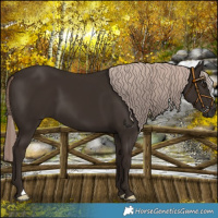 Horse Color:Liver Chestnut Mushroom