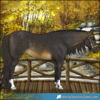 Horse Color:Buckskin Mushroom 