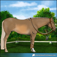 Horse Color:Chocolate Palomino Mushroom