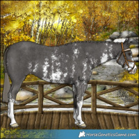 Horse Color:Liver Chestnut Mushroom Sabino 
