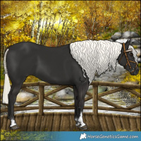 Horse Color:Liver Chestnut Mushroom