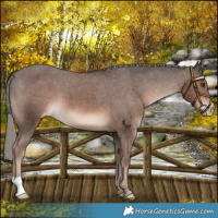 Horse Color:Liver Chestnut Mushroom Varnish