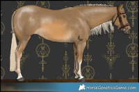 Horse Color:Chocolate Palomino Mushroom