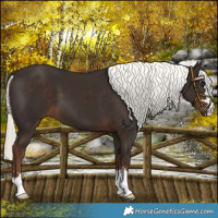Horse Color:Liver Chestnut Mushroom 