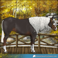 Horse Color:Liver Chestnut Mushroom 