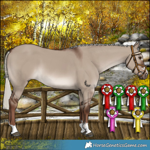 Horse Color:Liver Red Dun Mushroom 