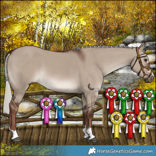 Horse Color:Liver Red Dun Mushroom