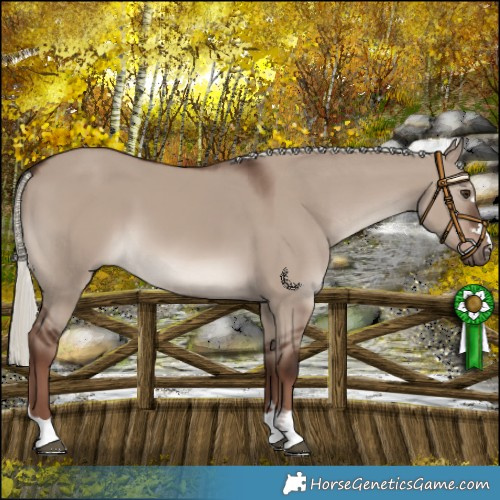 Horse Color:Liver Red Dun Mushroom 