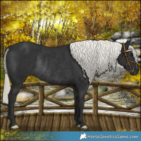 Horse Color:Liver Chestnut Mushroom Rabicano 