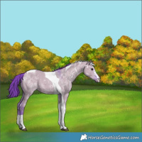 Horse Color:Watercolor Grullo Ice Sabino Tobiano 