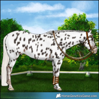 Horse Color:Liver Chestnut Mushroom Near Leopard 