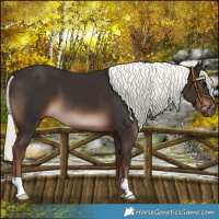 Horse Color:Liver Chestnut Mushroom 