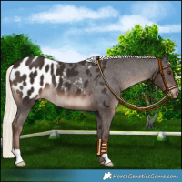 Horse Color:Liver Chestnut Mushroom Blanket 